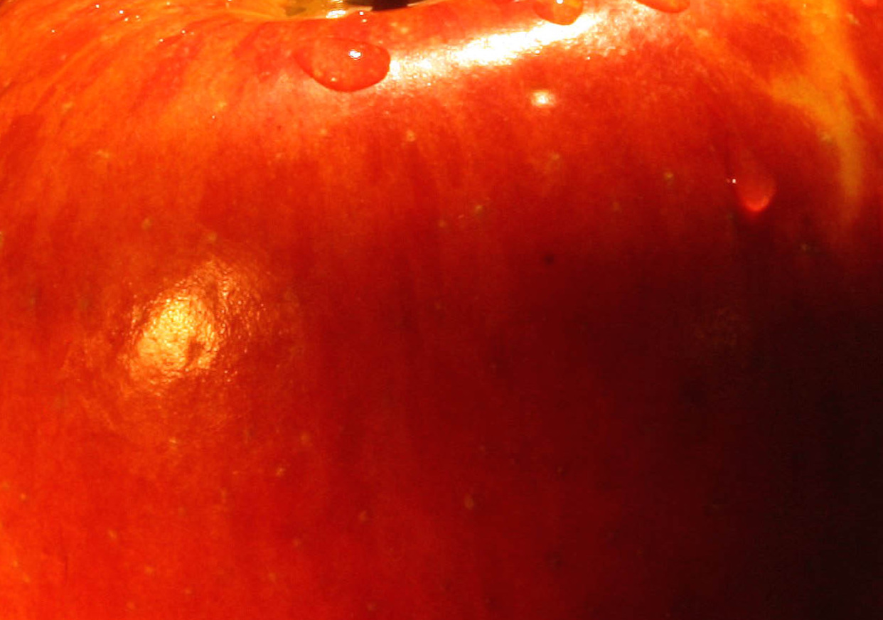 Een onderschrift van een appel
