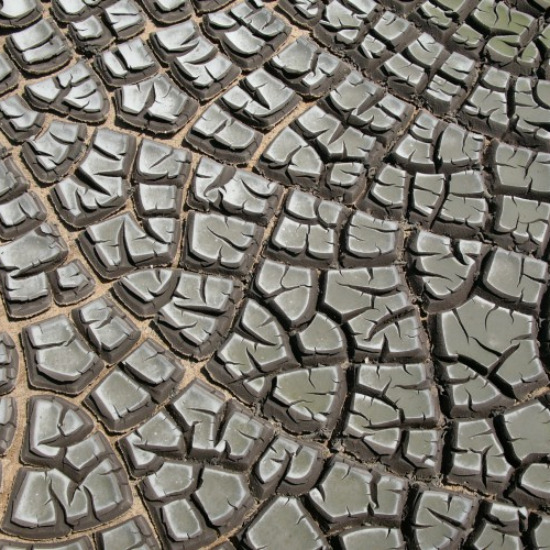 Lijkt wel olifantenhuid